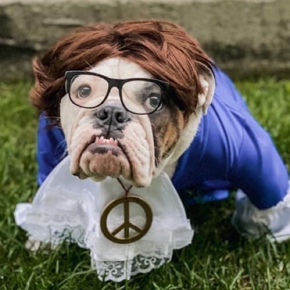 Meet your Posher, Kanela - Picture 7 of 7